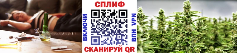 Купить закладку Гашиш  Cocaine  Меф мяу мяу  А ПВП  Канабис  Биробиджан